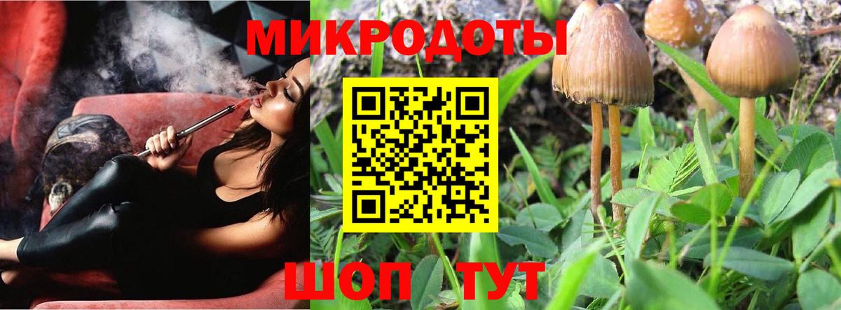 Галлюциногенные грибы мицелий  Вход с VPN  Альметьевск 